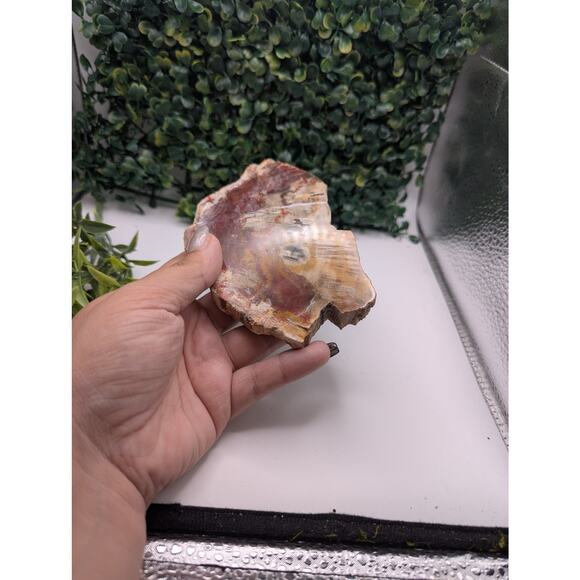 Petrified wood slab fossil crystal rock natural specimen red polished raw - Picture 4 of 4